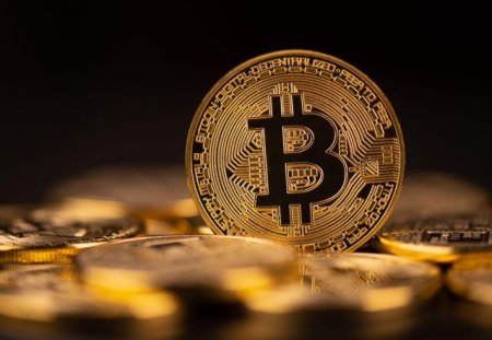 Bitcoin este la cel mai mare pret din istorie. Economist: Are momentul sau de stralucire. Norii negrii ai reglementarii se ridica. Conditiile financiare sunt din ce in ce mai relaxate