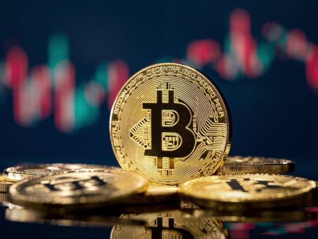 Un nou record in lumea crypto: Bitcoin se apropie de 82.000 de dolari pe unitate. Moneda digitala a urcat cu aproape 10% dupa victoria lui Trump in SUA