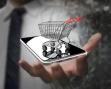 Black Friday, din perspectiva platformei de automatizare pentru ecommerce <span style='background:#EDF514'>EASY</span>Sales: cele mai mari cresteri ale vanzarilor au fost la categoriile Hrana si accesorii pentru animale, Moda si bijuterii si Electronice. Bonul mediu, in scadere