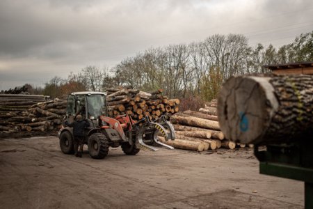 Stefanuta: Amanarea legii impotriva <span style='background:#EDF514'>DEFRISARI</span>lor, o lovitura pentru combaterea crizei climatice