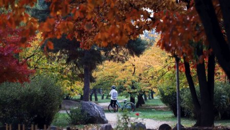 Prognoza meteo pentru urmatoarele doua saptamani. Vremea se schimba radical de joi