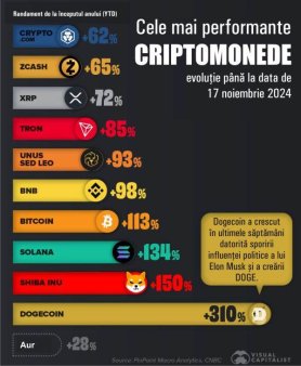 Dogecoin, the best-performing cryptocurrency in 2024