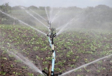 Carta Alba a Agriculturii: Subventii, irigatii si finantare-prioritatile fermierilor