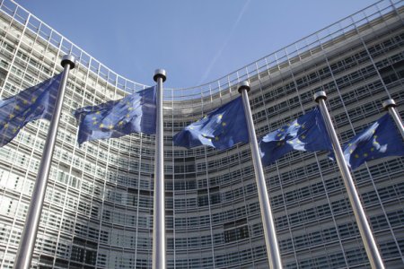 Georgia suspenda pentru patru ani discutiile privind aderarea la UE