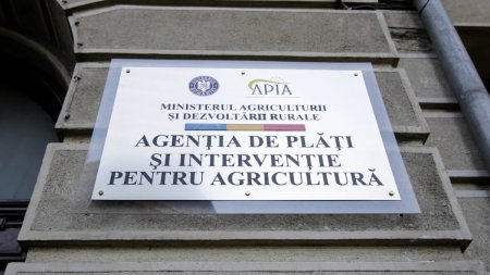 Ajutor de la stat pentru anul 2025. Cand se depun cererile la APIA si cati bani pot primi fermierii