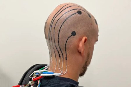 Tatuajele electronice de pe scalp ar putea revolutiona monitorizarea creierului