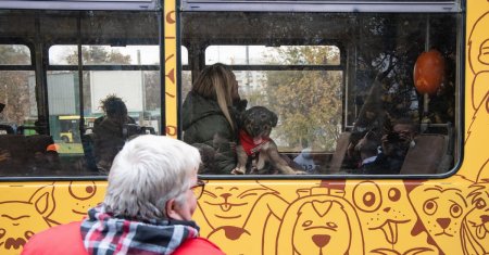 Un tramvai a lovit un <span style='background:#EDF514'>AUTOBUZ</span> oprit in statie si a ranit 15 calatori. Victimele au ajuns la cinci spitale din Capitala