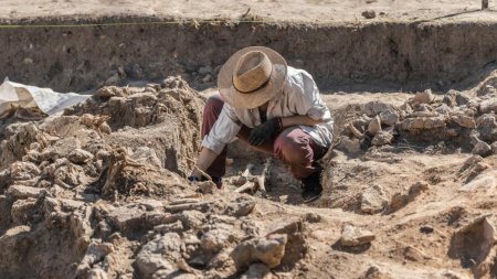 O descoperire arheologica rara a dus la identificarea unei noi specii de oameni antici. Cine erau Homo juluensis: Aveau creierul mare