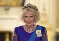 <span style='background:#EDF514'>PALAT</span>ul Buckingham: starea de sanatate a reginei Camilla, in atentia medicilor!