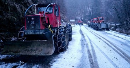 Paradoxul satelor de munte din vestul Romaniei. Sunt inghitite de paduri, dar izolate din cauza exploatarilor forestiere