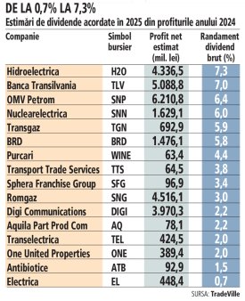 Bursa. Estimari TradeVille: ce <span style='background:#EDF514'>DIVIDENDE</span> ar putea plati anul viitor companiile listate la Bursa de Valori Bucuresti si incluse in BET