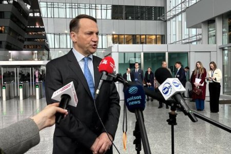 Ministrul polonez de externe, Radek Sikorski, reactioneaza dupa decizia Curtii Constitutionale