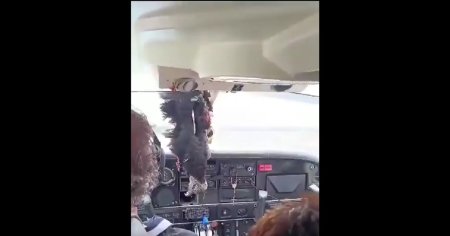 Momentul in care un vultur a produs un soc la bordul unui avion dupa ce a trecut prin parbriz: A fost un miracol sa aterizam cu asta in fata <span style='background:#EDF514'>PILOTUL</span>ui