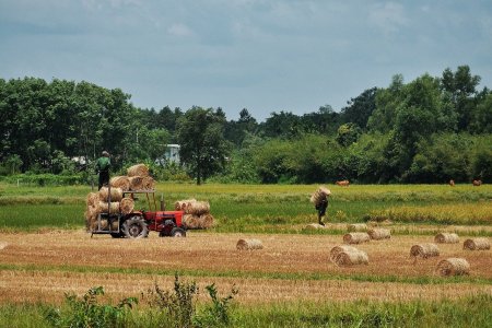 Noua regula pe care trebuie sa o respecte fermierii care primesc subventii: Este o masura drastica