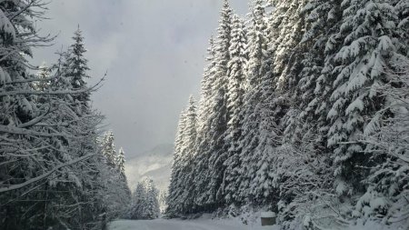 Vremea va fi mai calda decat normalul perioadei pe intreg teritoriul Romaniei in urmatoarele patru saptamani