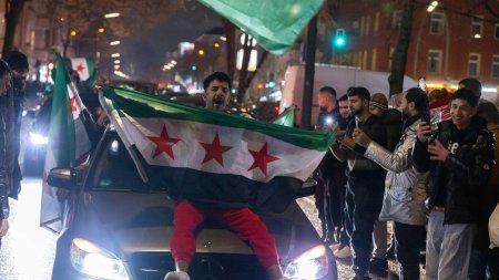 Germania, Austria si Suedia suspenda cererile de azil pentru sirieni dupa caderea regimului Assad