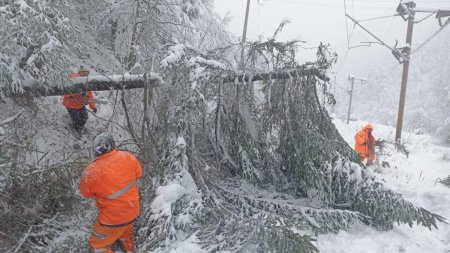 Un brad cazut a blocat trei trenuri in Harghita. Zeci de calatori, afectati