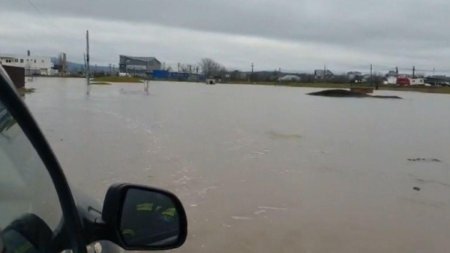 Inundatiile au lovit in mai multe zone din Romania, dupa precipitatiile abundente. Pompierii intervin cu motopompe