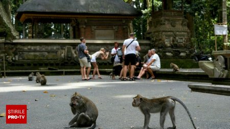 Doua turiste au murit intr-o destinatie foarte populara din Bali