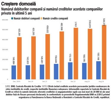 Exclusiv ZF. Gradul de bancarizare a companiilor din Romania. Cate firme au credite, cate credite au si cum a evoluat in ultimii cinci ani numarul debitorilor companii?