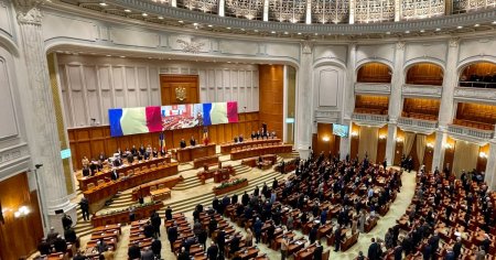 Care este profilul <span style='background:#EDF514'>MEMBRILOR</span> noului Parlament ales. Impartirea pe partide, grupe de varsta si sex