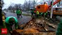 La un pas de <span style='background:#EDF514'>TRAGEDIE</span>. Un copac s-a prabusit peste un autoturism si peste un tramvai, in Iasi. 