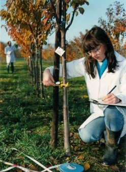 Finantare pentru modernizarea invatamantului agricol