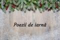 Poezii de iarna – cele mai frumoase poezii despre iarna