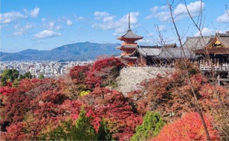 CORESPONDENTA DIN JAPONIA Toamna de poveste la Kyoto