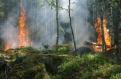 Australia: Mai multe orase evacuate de Craciun din cauza incendiilor de vegetatie