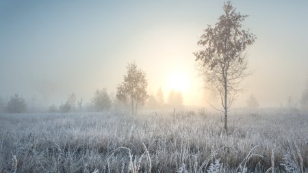 Cum va fi vremea in ultima zi a anului. Prognoza meteo marti, 31 decembrie 2024