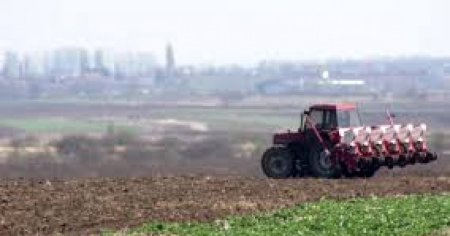 Hrana pe intelesul tuturor. Ce a provocat declinul agriculturii romanesti in ultimul secol si jumatate