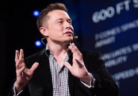 Vicecancelarul Habeck il avertizeaza pe Elon Musk sa nu se amestece in alegerile din 23 februarie