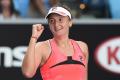 Victorie pentru Begu la Adelaide, Cirstea si Cristian parasesc competitia