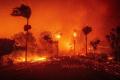 Stare de urgenta la Los Angeles dupa un incendiu urias. 30.000 de persoane au fost evacuate, Air Force One, blocat la sol 