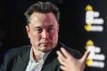 Elon Musk la Liverpool? » Ce spune tatal miliardarului sud-african + cum comenteaza suporterii