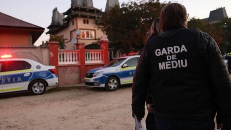 Garda de Mediu a dat amenzi de peste 36 de milioane de euro anul trecut: 2024 a marcat un record. Au fost aproape 50.000 de controale