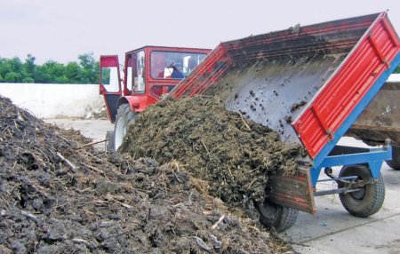 Analiza Pagina verde. Peste 800 de milioane de lei din PNRR merg spre platforme de colectare a gunoiului de grajd. Agricultura ro<span style='background:#EDF514'>MANE</span>asca se modernizeaza si face investitii in depozitarea gunoiului si valorificarea mai buna a acestuia