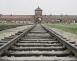 27 ianuarie 2025: 80 de ani de la eliberarea lagarului Auschwitz-Birkenau. De ce este atat de importanta aceasta zi