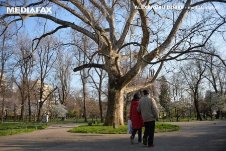 Cum va fi vremea in urmatoarea luna. Deficit de precipitatii si temperaturi neobisnuit de ridicate