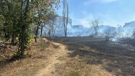 350 de milioane de euro. Nicusor Dan, despre scandalul din parcul IOR: Daca proprietarul o sa defriseze <span style='background:#EDF514'>SPATIU</span>l vegetal pe 10 hectare, o sa ii dam o amenda de 350 de milioane de euro