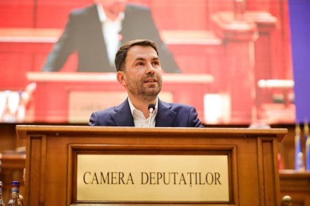 Catalin Drula critica restructurarea Camerei Deputatilor, considerand-o un 'simulacru'