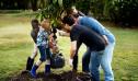 Povestea celor 100 de voluntari care au plantat mii de copaci pe 30 de hectare de pajiste 