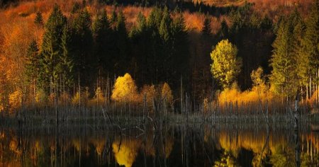 Tanar de 18 ani din Romania, printre castigatorii concursului <span style='background:#EDF514'>INTERNAT</span>ional Travel Photographer of the Year 2024