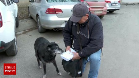 Povestea emotionanta a unui postas din Iasi si a cainelui sau, care il insoteste in fiecare zi la munca, indiferent de vreme