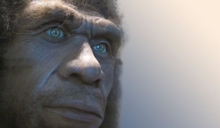 Cum aratau neanderthalienii? ADN-ul dezvaluie secrete despre cea mai apropiata ruda a omului modern