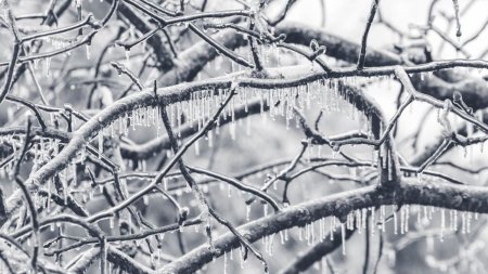 Vreme rece si ger de pana la -17 grade, in urmatoarele trei zile, anunta ANM. Care sunt zonele vizate