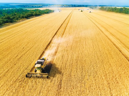 Analiza de luni. Tabloul regilor agriculturii romanesti: cum a schimbat UE destinul lor? Productiile de grau si porumb s-au dublat, dar inca suntem in urma Vestului, am intrat in top trei exportatori de porumb si grau ai UE, iar terenurile agricole s-au apreciat de cinci ori si se apropie de 10.000 euro/hectar