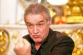 Gigi Becali, cu 9 ore inainte de PAOK - FCSB: Nu am nicio emotie! E fotbal-distractie acum