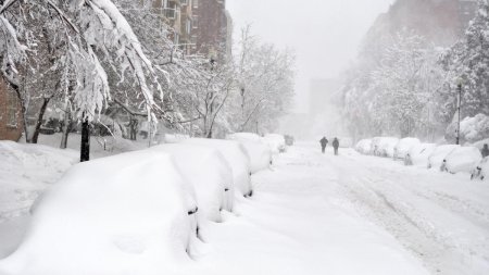 Viscol, ninsori si ger peste Romania. Sefa ANM anunta temperaturi pana la -20 de grade: Primul <span style='background:#EDF514'>EPISOD</span> de iarna autentica